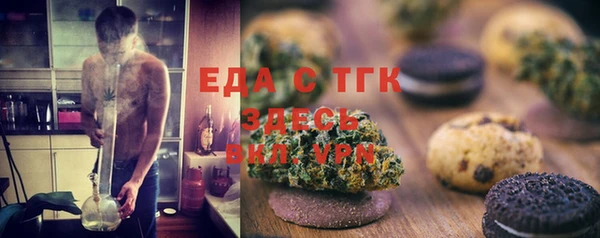 ГАЛЛЮЦИНОГЕННЫЕ ГРИБЫ Тайга