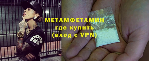 ГАЛЛЮЦИНОГЕННЫЕ ГРИБЫ Тайга