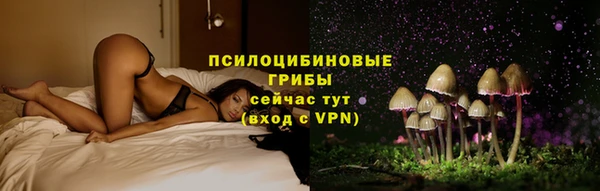 герыч Тавда