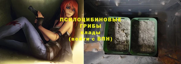 индика Сясьстрой