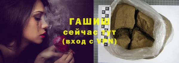 индика Сясьстрой