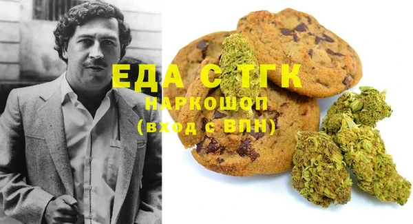 индика Сясьстрой