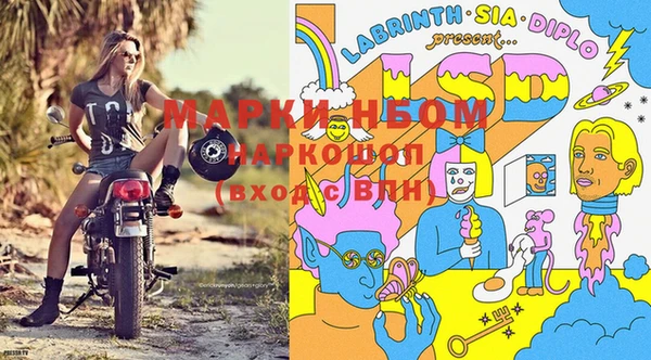 индика Сясьстрой