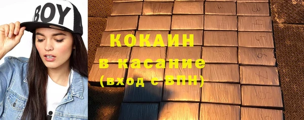 индика Сясьстрой