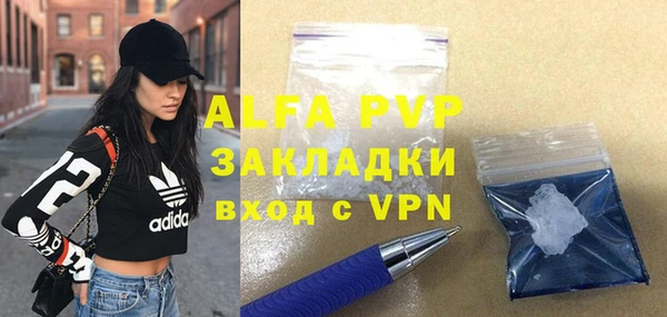 ГАЛЛЮЦИНОГЕННЫЕ ГРИБЫ Тайга