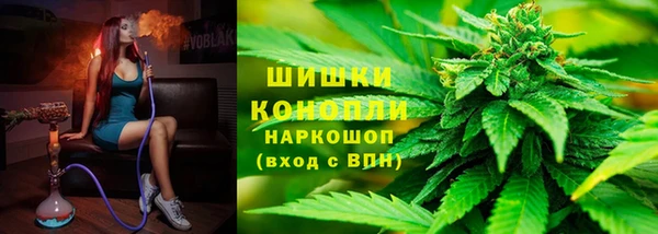 ГАЛЛЮЦИНОГЕННЫЕ ГРИБЫ Тайга