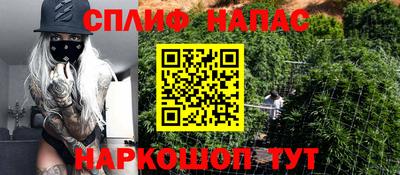 эйфоретик Камышлов