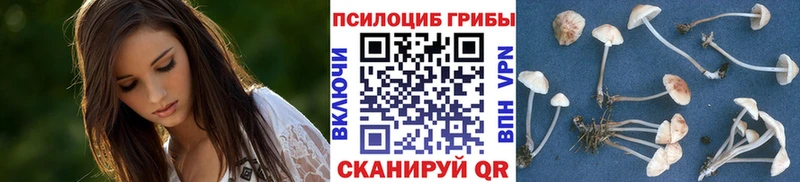 Псилоцибиновые грибы прущие грибы  цена   Рузаевка 