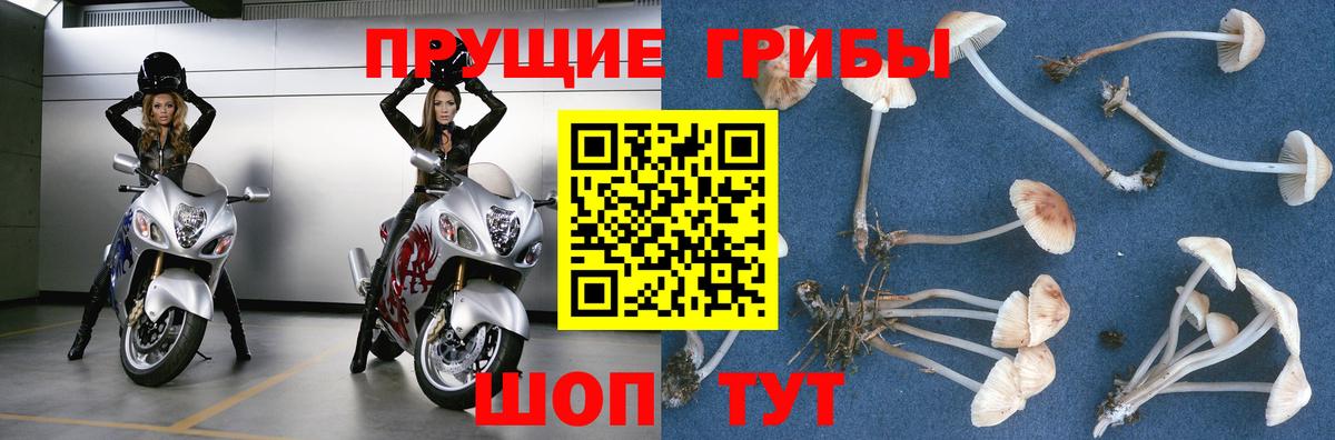 Псилоцибиновые грибы ЛСД Рузаевка