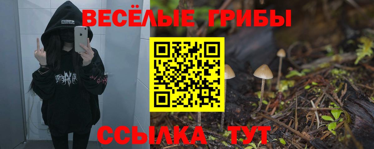 Галлюциногенные грибы прущие грибы  Вход с VPN  Рузаевка 